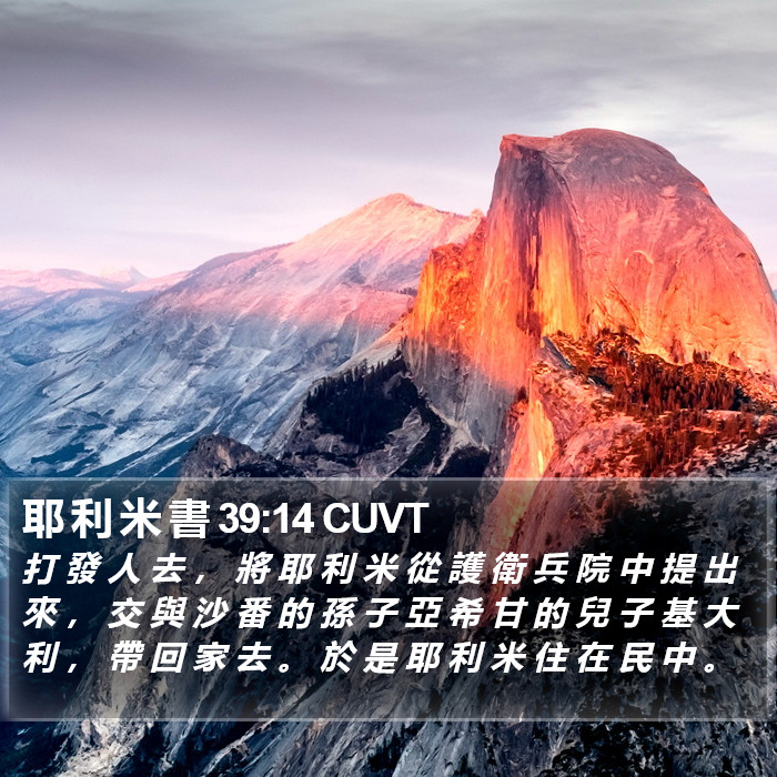 耶 利 米 書 39:14 CUVT Bible Study
