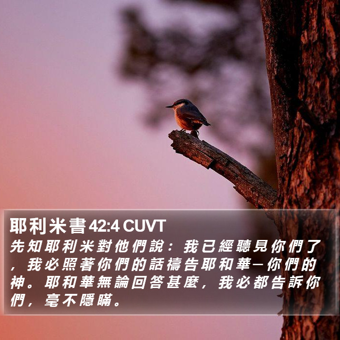 耶 利 米 書 42:4 CUVT Bible Study