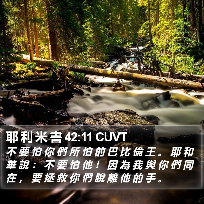 耶 利 米 書 42:11 CUVT Bible Study