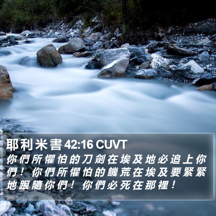 耶 利 米 書 42:16 CUVT Bible Study