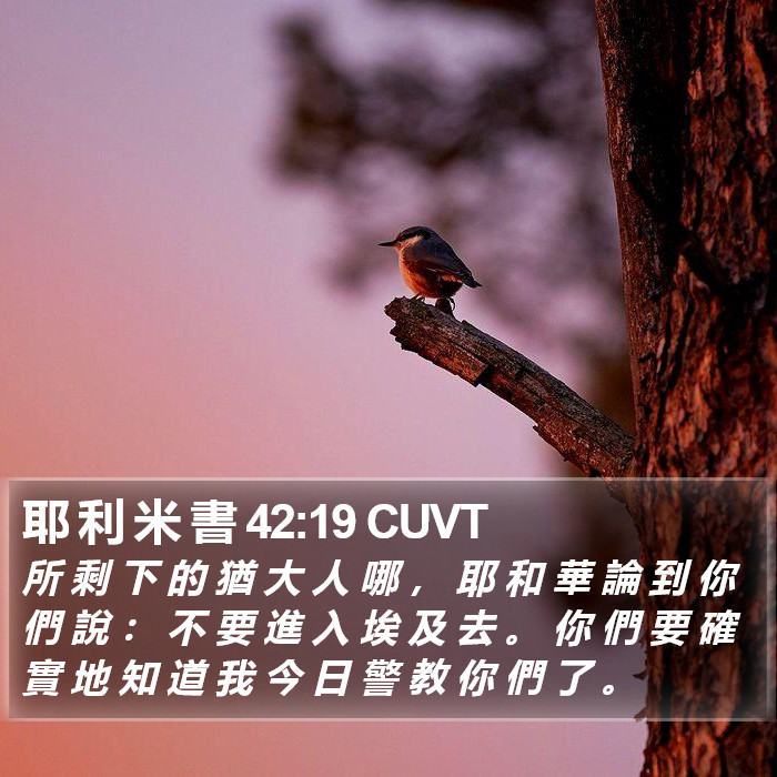 耶 利 米 書 42:19 CUVT Bible Study
