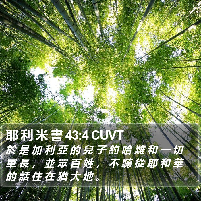 耶 利 米 書 43:4 CUVT Bible Study