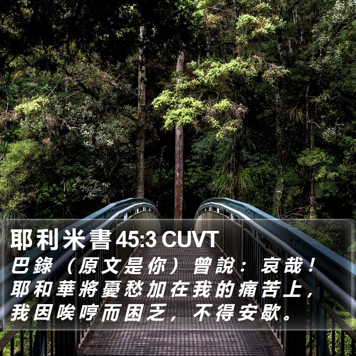 耶 利 米 書 45:3 CUVT Bible Study