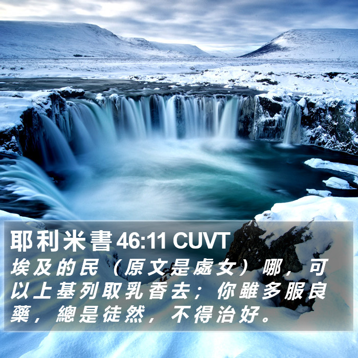 耶 利 米 書 46:11 CUVT Bible Study