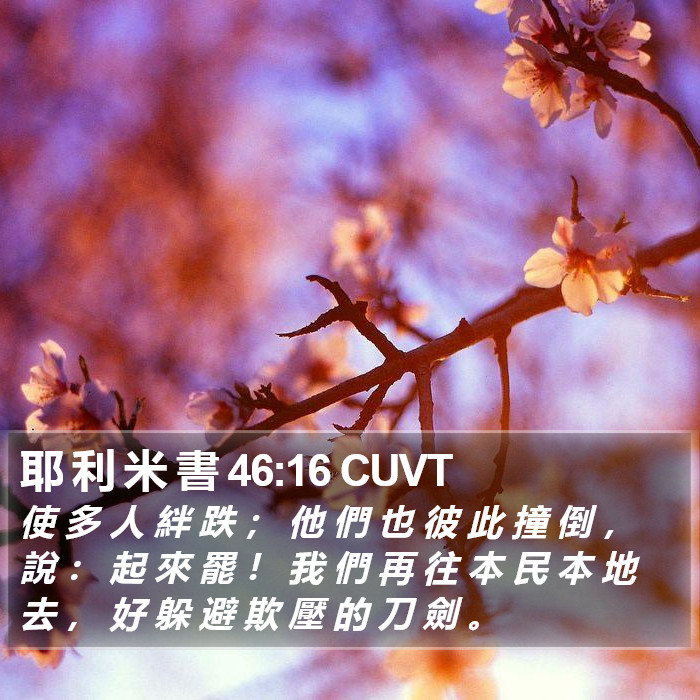 耶 利 米 書 46:16 CUVT Bible Study