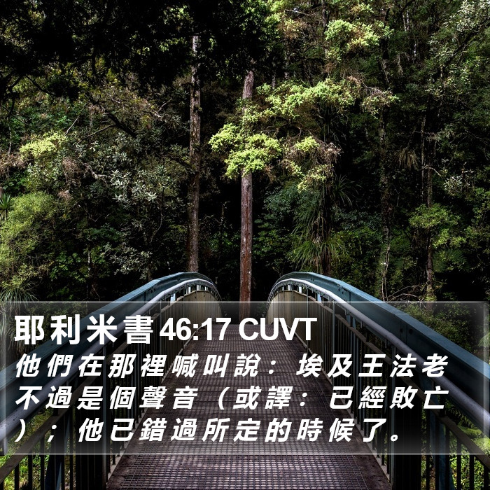 耶 利 米 書 46:17 CUVT Bible Study