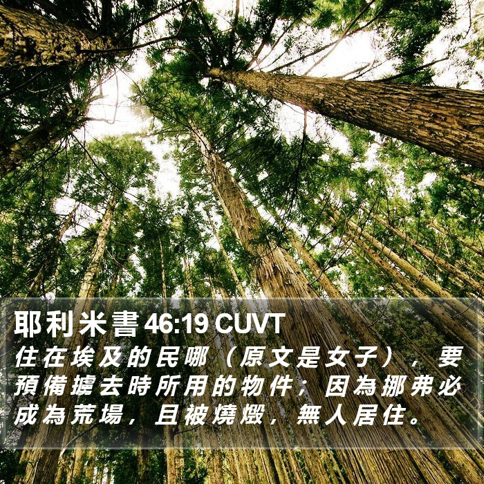 耶 利 米 書 46:19 CUVT Bible Study