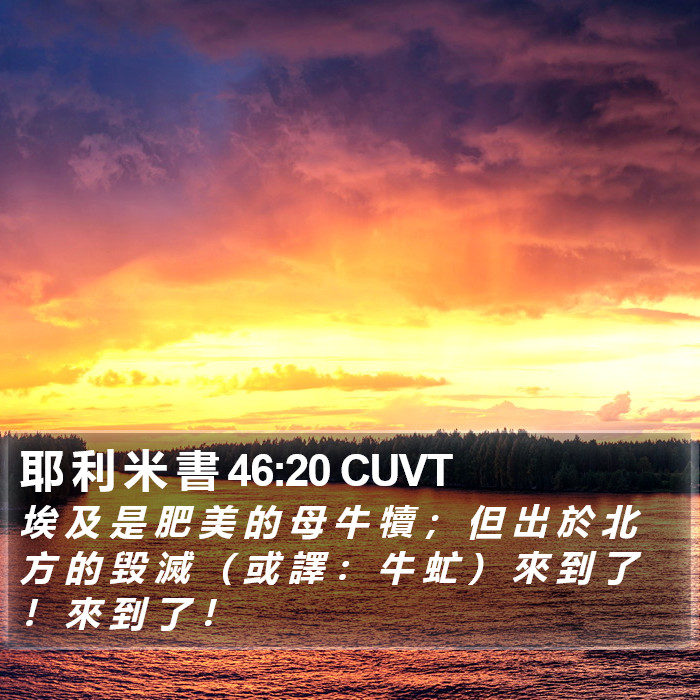 耶 利 米 書 46:20 CUVT Bible Study