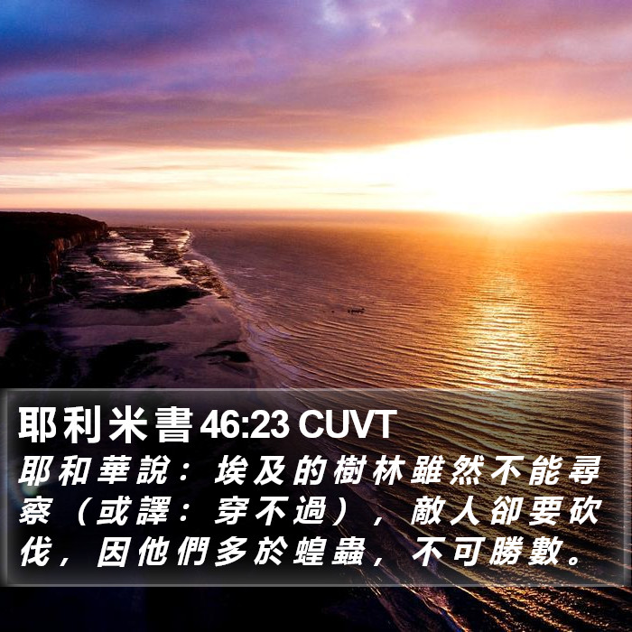 耶 利 米 書 46:23 CUVT Bible Study
