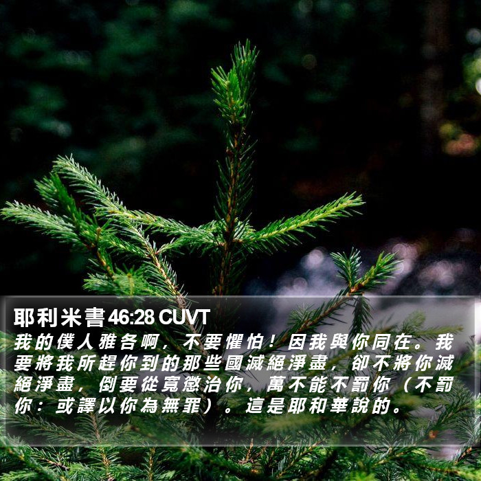 耶 利 米 書 46:28 CUVT Bible Study