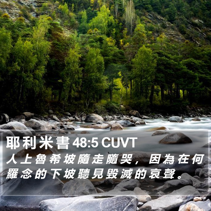 耶 利 米 書 48:5 CUVT Bible Study