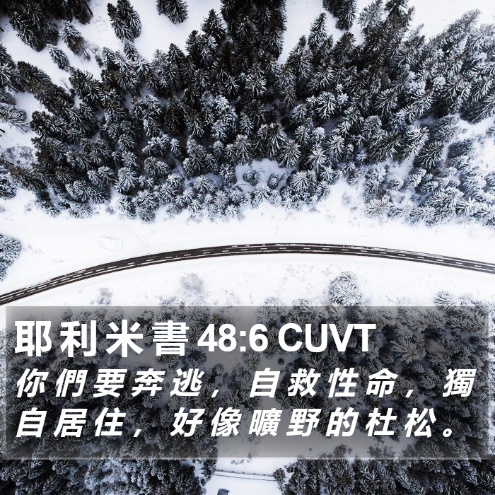 耶 利 米 書 48:6 CUVT Bible Study