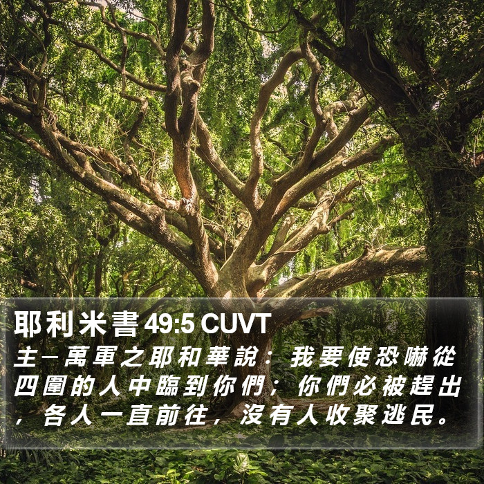 耶 利 米 書 49:5 CUVT Bible Study