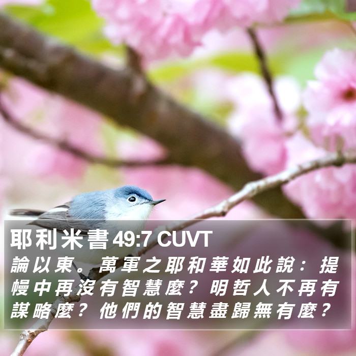 耶 利 米 書 49:7 CUVT Bible Study