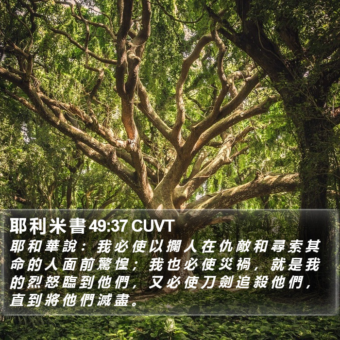 耶 利 米 書 49:37 CUVT Bible Study