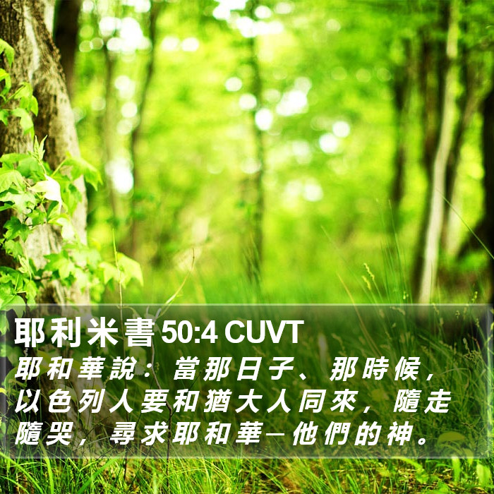 耶 利 米 書 50:4 CUVT Bible Study