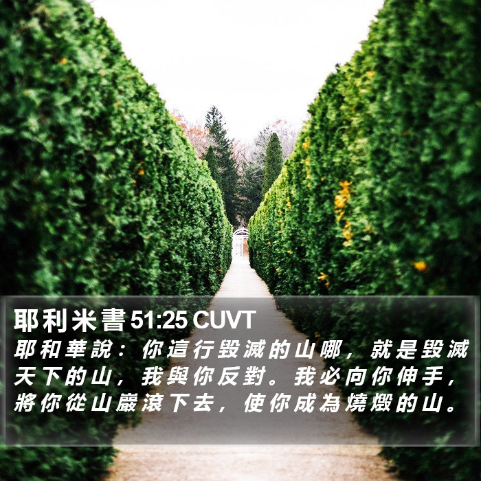 耶 利 米 書 51:25 CUVT Bible Study
