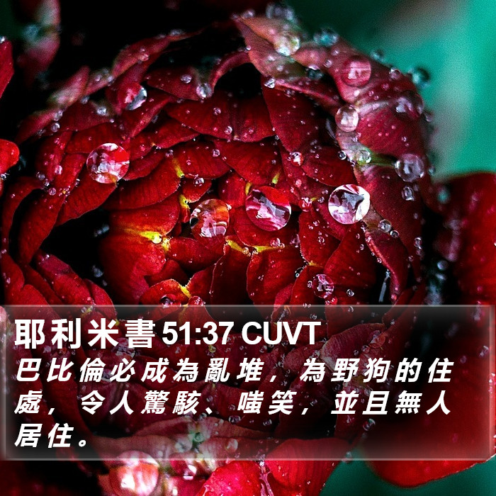 耶 利 米 書 51:37 CUVT Bible Study