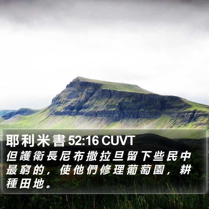 耶 利 米 書 52:16 CUVT Bible Study