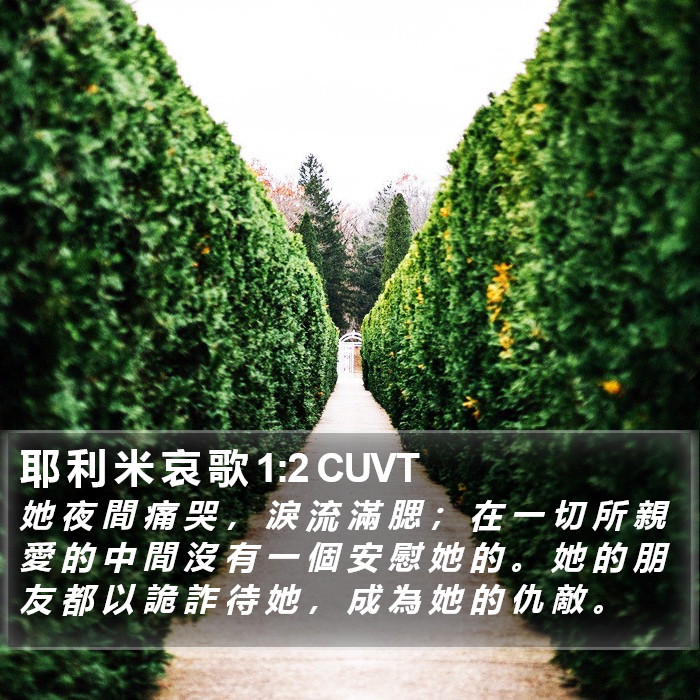 耶 利 米 哀 歌 1:2 CUVT Bible Study