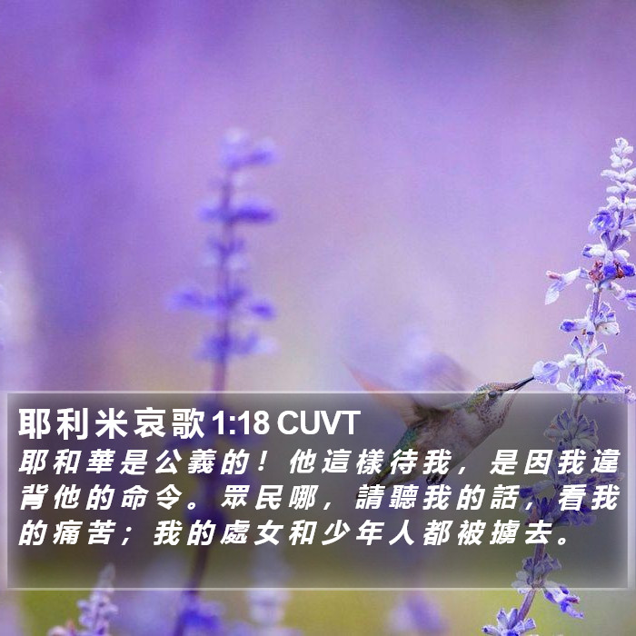 耶 利 米 哀 歌 1:18 CUVT Bible Study