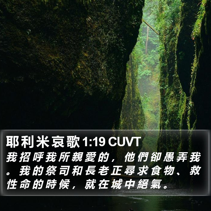 耶 利 米 哀 歌 1:19 CUVT Bible Study