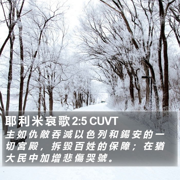 耶 利 米 哀 歌 2:5 CUVT Bible Study