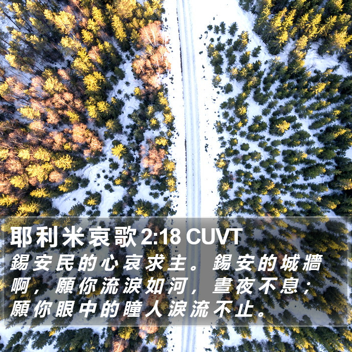 耶 利 米 哀 歌 2:18 CUVT Bible Study