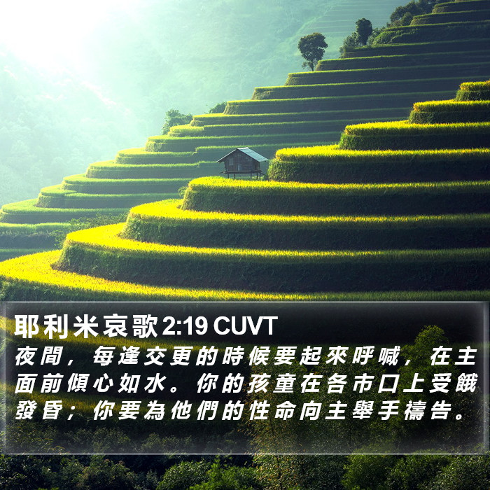 耶 利 米 哀 歌 2:19 CUVT Bible Study