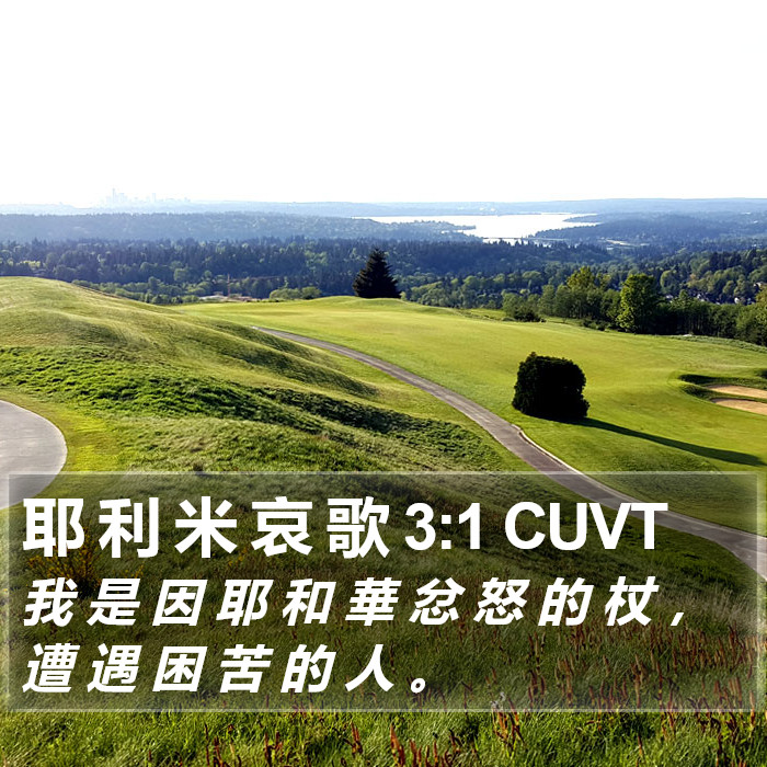 耶 利 米 哀 歌 3:1 CUVT Bible Study