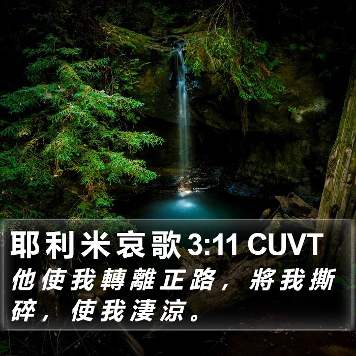 耶 利 米 哀 歌 3:11 CUVT Bible Study