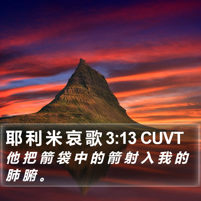 耶 利 米 哀 歌 3:13 CUVT Bible Study