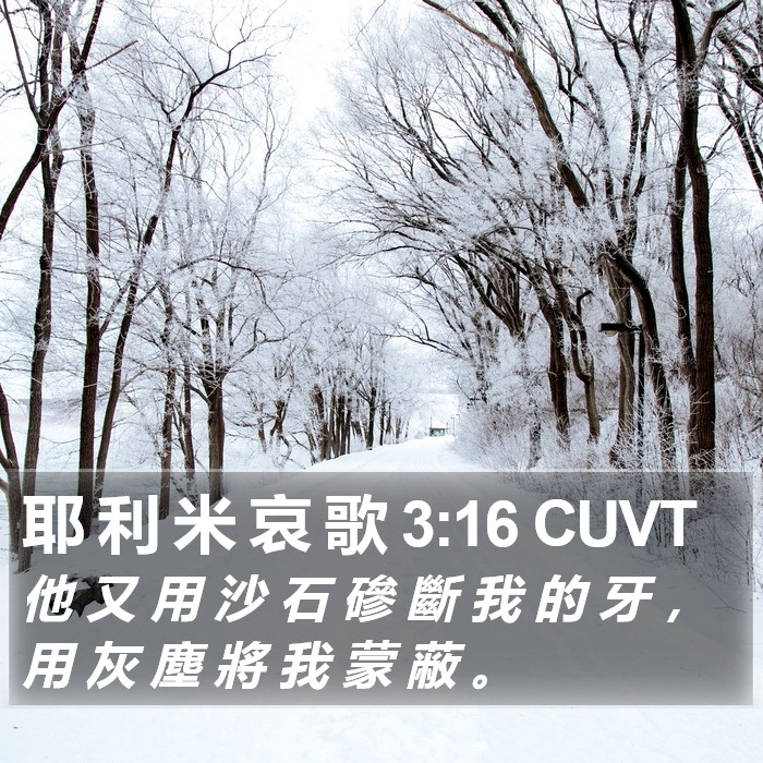 耶 利 米 哀 歌 3:16 CUVT Bible Study