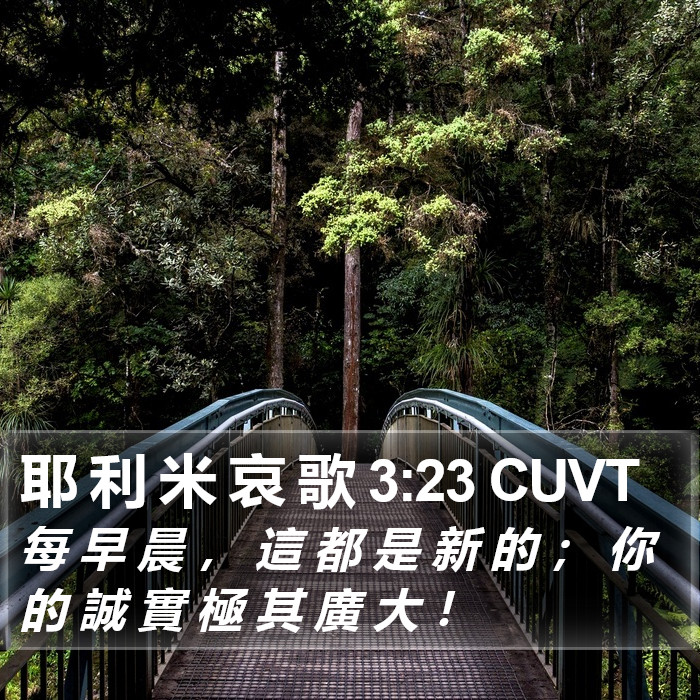 耶 利 米 哀 歌 3:23 CUVT Bible Study