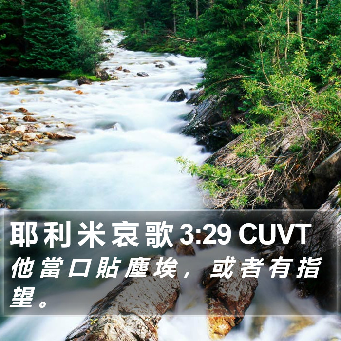 耶 利 米 哀 歌 3:29 CUVT Bible Study