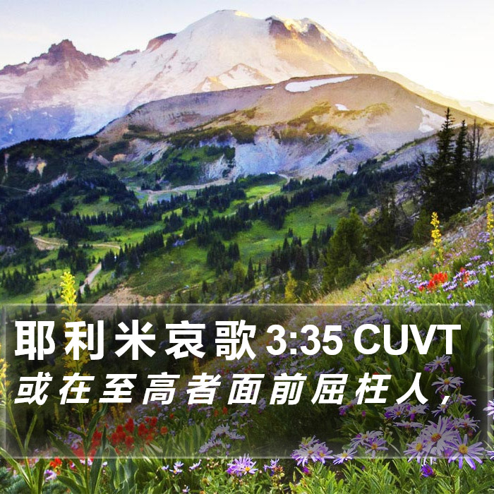 耶 利 米 哀 歌 3:35 CUVT Bible Study