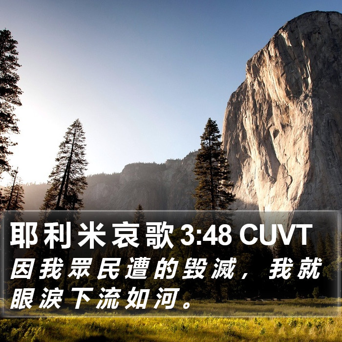 耶 利 米 哀 歌 3:48 CUVT Bible Study