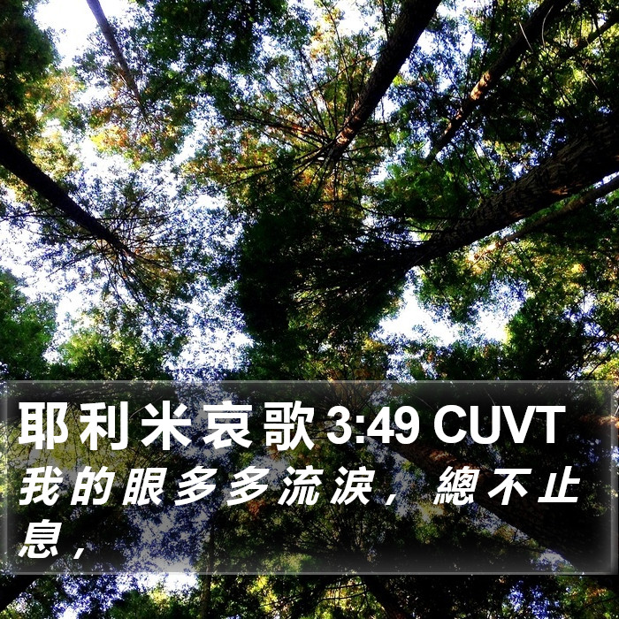 耶 利 米 哀 歌 3:49 CUVT Bible Study