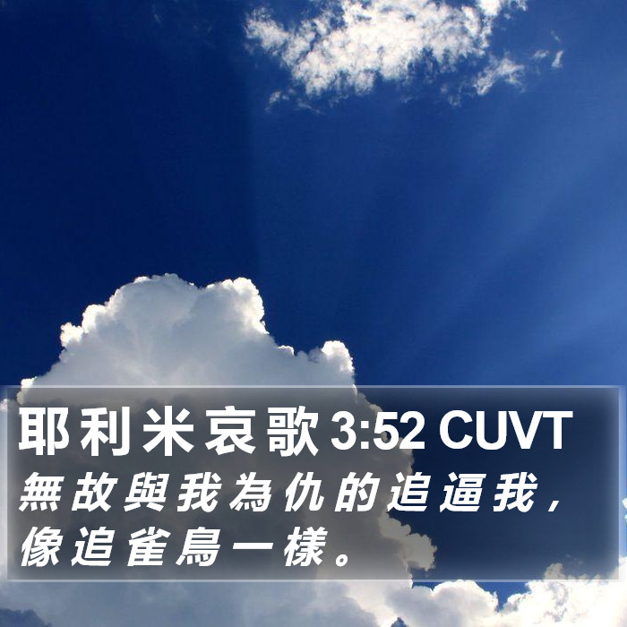 耶 利 米 哀 歌 3:52 CUVT Bible Study