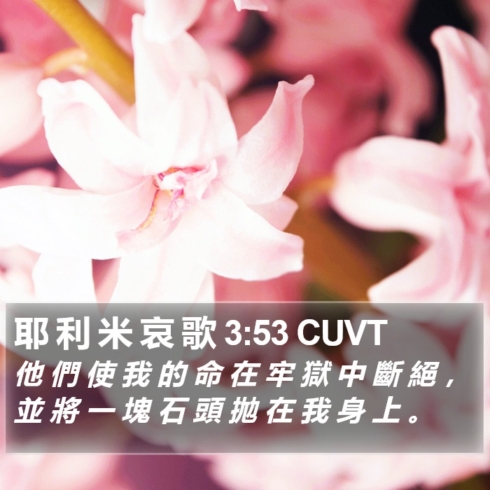 耶 利 米 哀 歌 3:53 CUVT Bible Study