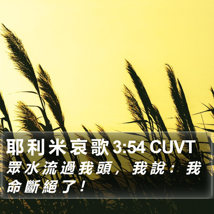 耶 利 米 哀 歌 3:54 CUVT Bible Study