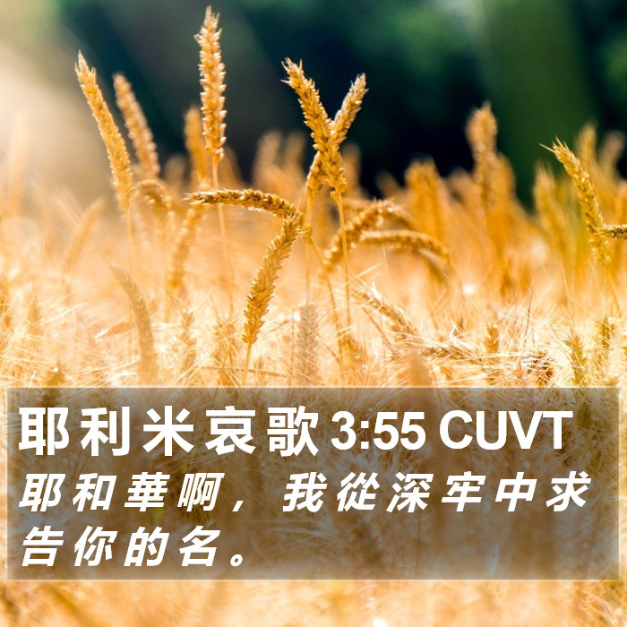 耶 利 米 哀 歌 3:55 CUVT Bible Study