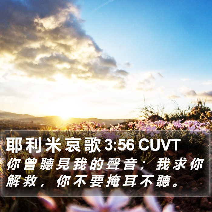 耶 利 米 哀 歌 3:56 CUVT Bible Study