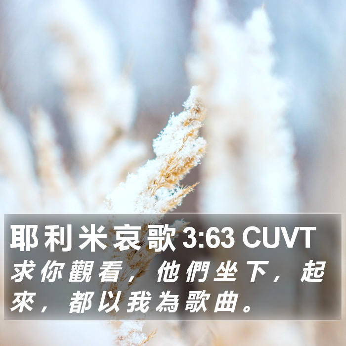 耶 利 米 哀 歌 3:63 CUVT Bible Study