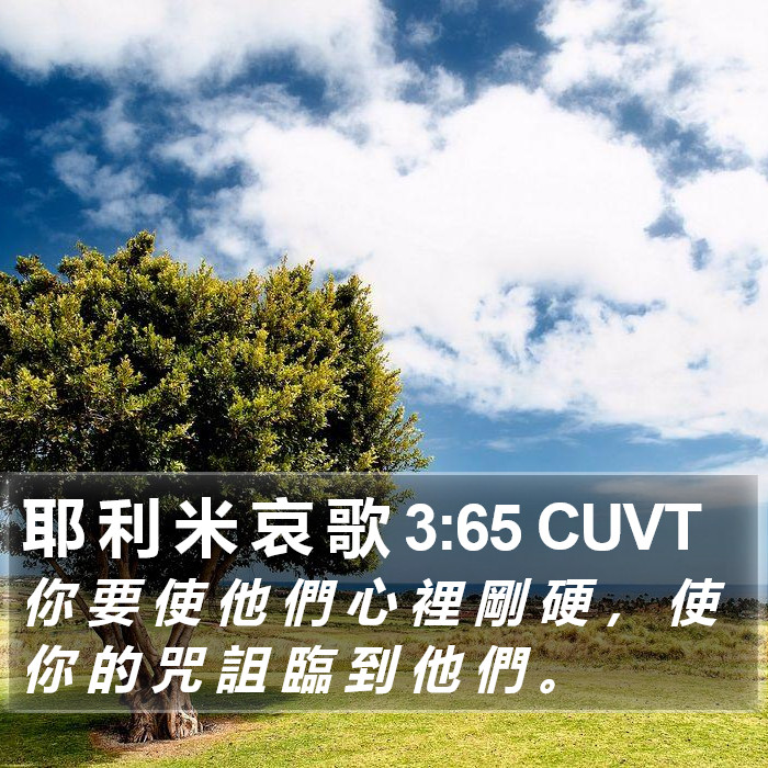 耶 利 米 哀 歌 3:65 CUVT Bible Study