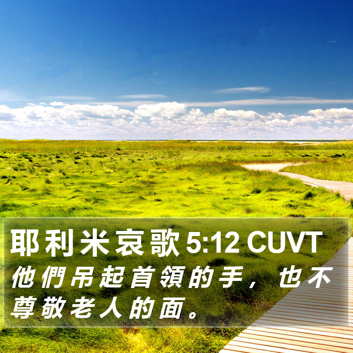 耶 利 米 哀 歌 5:12 CUVT Bible Study