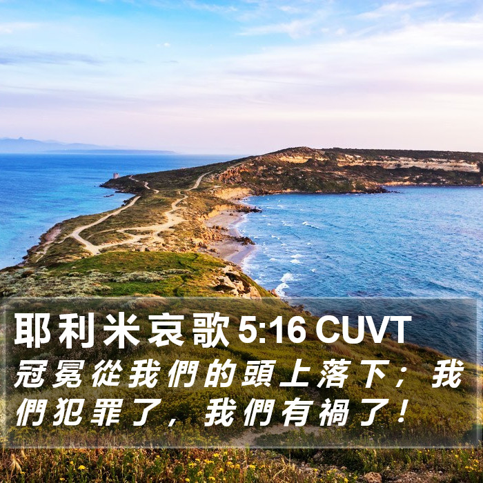 耶 利 米 哀 歌 5:16 CUVT Bible Study