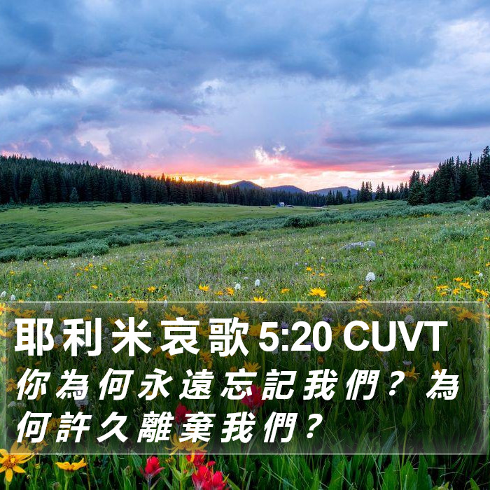 耶 利 米 哀 歌 5:20 CUVT Bible Study