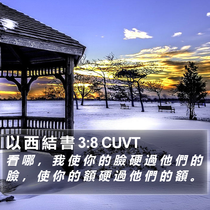 以 西 結 書 3:8 CUVT Bible Study