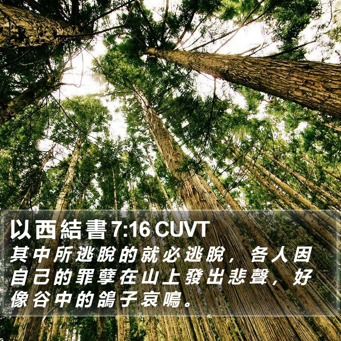 以 西 結 書 7:16 CUVT Bible Study